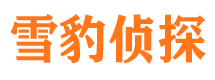 临河找人公司